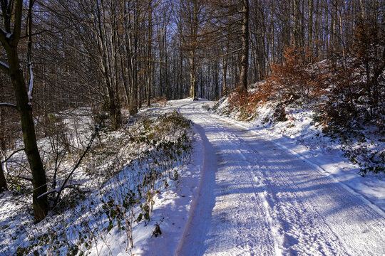 Mountain path covered with snow in Beskid Sadecki