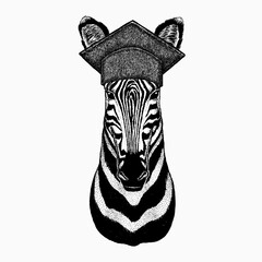 Zebra vector portrait. Square academic cap, graduate cap, cap, mortarboard. Head of african wild animal zebra.