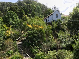 house with stairs in forest