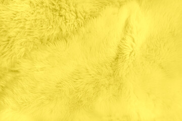 Yellow soft natural fur background in trendy color of the 2021 Year. Texture, abstract pattern.