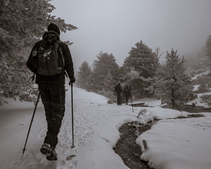 Senderistas junto a un río en un bosque nevado
