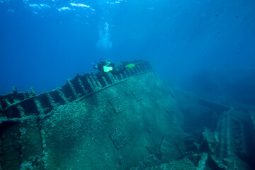 Scuba diver explores big shipwreck.