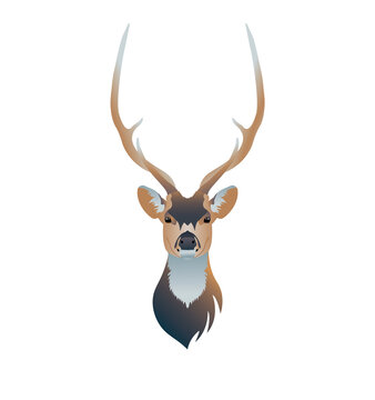 Deer head on white background, vector illustration. Suitable for refrigerator sticker, poster or postcard, social networks and t-shirt.