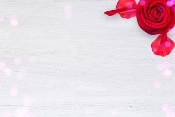 Valentines background with red rose and bokeh ion white, flat lay with copy space, frame