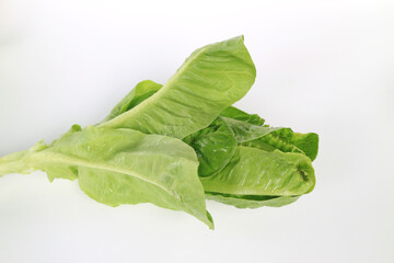fresh baby cos (lettuce) on white background, healthy food.