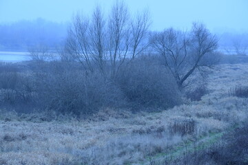 Grudniowy krajobraz nad Wisłą w okolicach Sandomierza © Anna