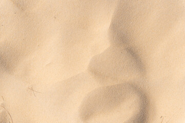 Fototapeta na wymiar sand texture on the beach in summer sun