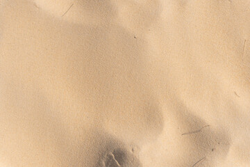 sand texture on the beach in summer sun