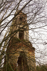 old bell tower behind tree branches