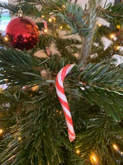 christmas tree with  sweet