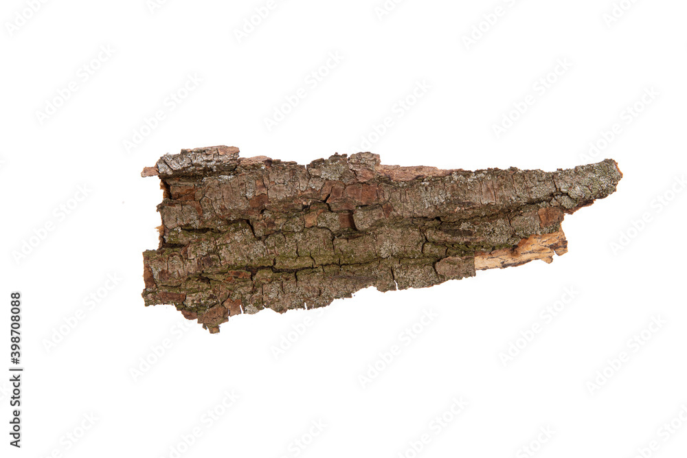 Poster the bark of the tree is isolated on a white background. wooden texture