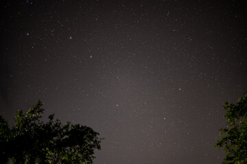 big dipper constellation on the night summer sky