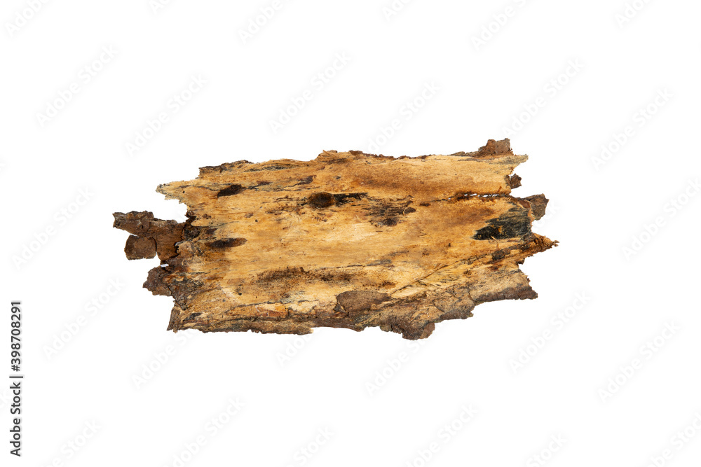 Poster the bark of the tree is isolated on a white background. wooden texture