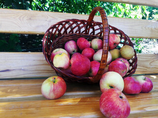 Apples in a basket on a wooden bench High quality photo