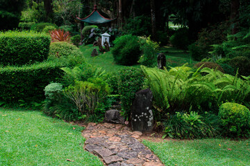 Obraz premium garden path in garden