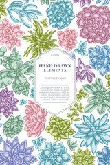 Card design with pastel succulent echeveria, succulent echeveria, succulent