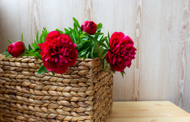 pink red peonies in wicker basket on wooden background