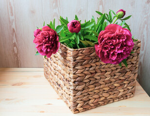 Fototapeta na wymiar flowers of pink red peonies in wicker basket on wooden table against wooden background