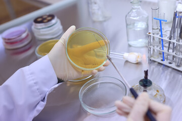 Biologist in the lab working with bacteria