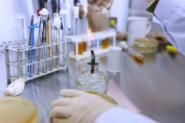 Biologist in the lab working with bacteria