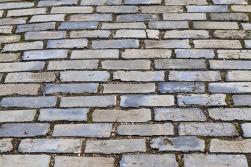 Grey & Light Blue Brick Walk in Amsterdam