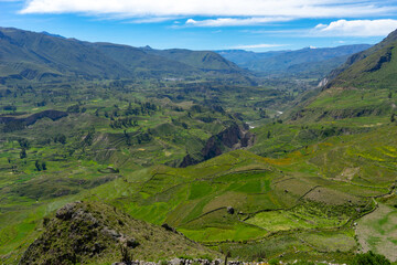 Fototapeta na wymiar Peru in the Colca Canyon. View over fields into the Canyon.