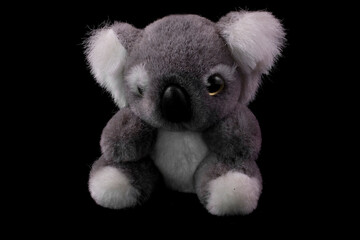  gray teddy koala on a black background close-up