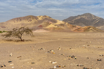 Peru, near Nazca, at Cemetery Chauchilla a beautiful coloured  desert Landscape.