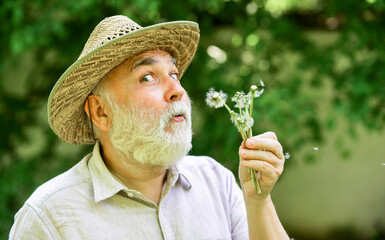 Summer fairy portrait. happy and carefree retirement. grandpa farmer. senior man blow dandelion...