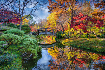 Fototapeta na wymiar Fall Foliage in the Japanese Garden