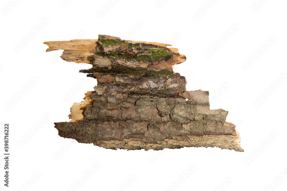 Poster the bark of the tree is isolated on a white background. wooden texture