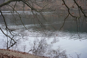 Winter an der Krummen Lanke in Berlin