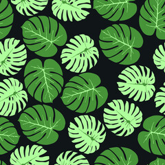 Fototapeta premium seamless pattern with monstera on a colored background. used in web design, branding, product design, and interior 