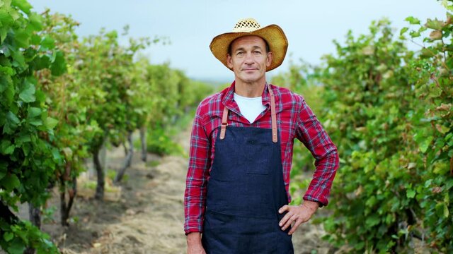 In the middle of vineyard farmer old man posing in front of the camera looking straight to the camera and smiling