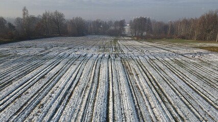 pierwszy śnieg na polu, Śląsk, Polska - obrazy, fototapety, plakaty