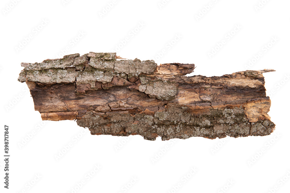 Poster the bark of the tree is isolated on a white background. wooden texture