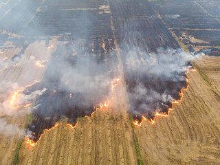 Fire burn on yellow straw rice field with smoke aerial view