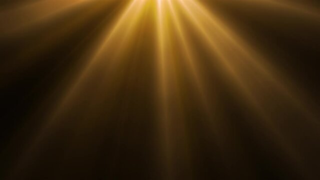 Looping animated golden lights on dark background
