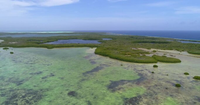 los Roques Venezuela. Green mangrove forest to southern barrier. Protection zone  Aerial view turn to rigth