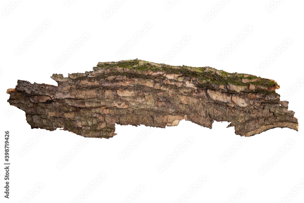 Poster the bark of the tree is isolated on a white background. wooden texture