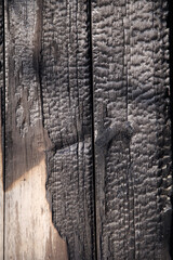 Black wood texture background coming from natural wood. Charred wood that's empty.