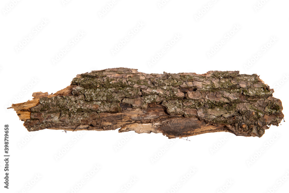 Poster the bark of the tree is isolated on a white background. wooden texture