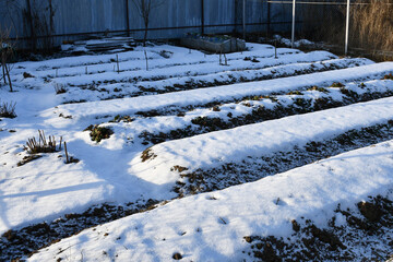 The beginning of winter in the country. Empty neat beds are covered with snow.