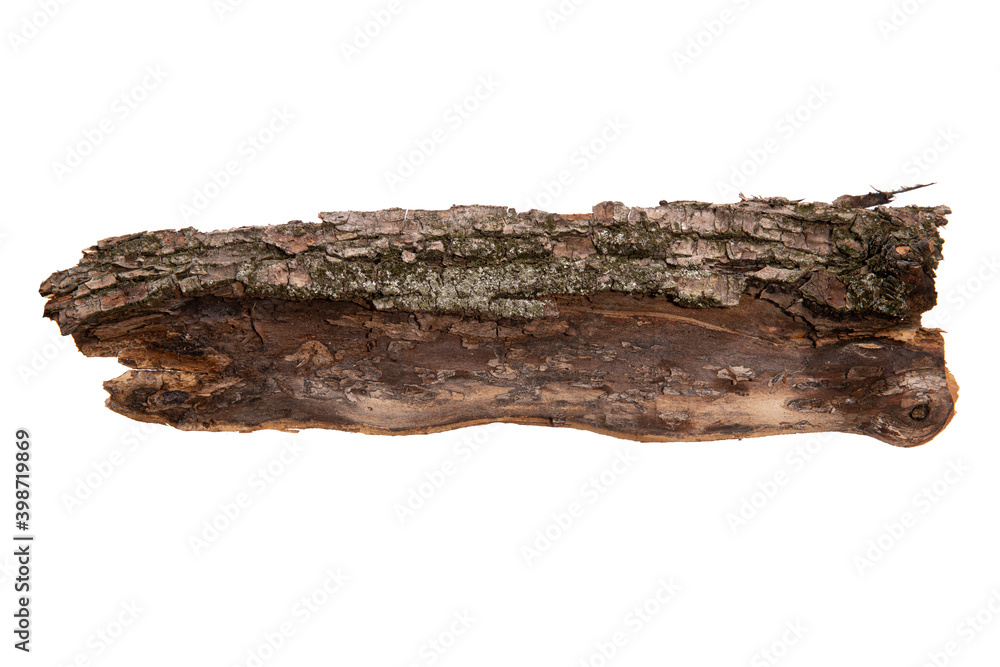 Poster the bark of the tree is isolated on a white background. wooden texture