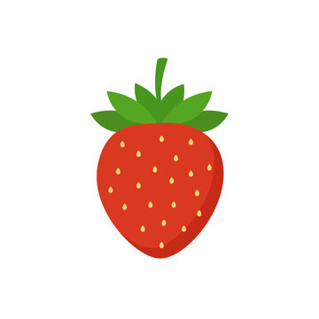 Strawberry fruit isolated on white background. Strawberry in flat style. Vector stock