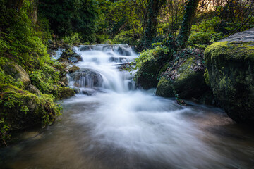 Obraz premium Mountain stream in Corsica