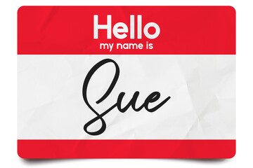 Hello my name is Sue