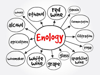 Enology mind map, concept for presentations and reports