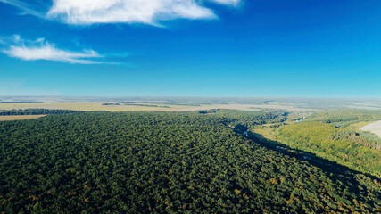 Fototapeta na wymiar Aerial view coniferous forest trees drone landscape