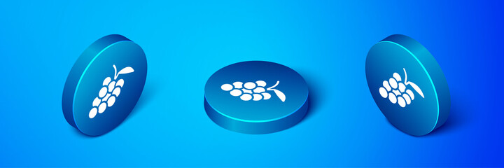 Isometric Grape fruit icon isolated on blue background. Blue circle button. Vector.